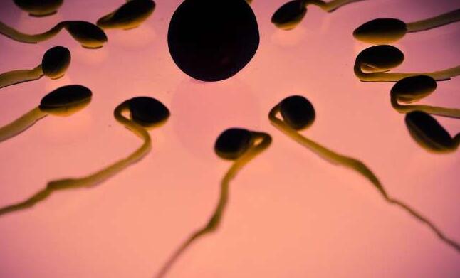 卵泡监测是试管必须做的吗？对成功率有什么好处？