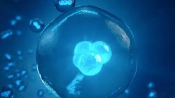 卵泡监测有何作用？了解试管婴儿小知识