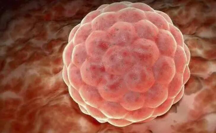 卵泡监测发现无成熟卵泡原因-无成熟卵泡能做试管怀孕吗-